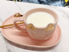 -喵店&猫咖