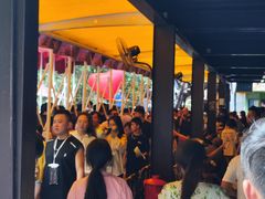 -将军关探险漂流