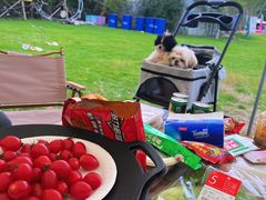 -不觉晓CAMPING(上海迪士尼营地店)