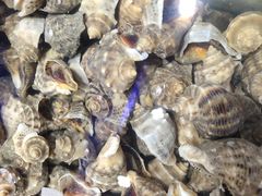 -四海蒸鲜蒸汽海鲜自助(北戴河店)