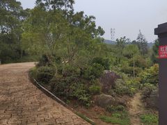 -大姆山草场