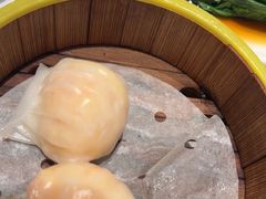 -东方早茶 海鲜•青岛菜(国信体育中心店)