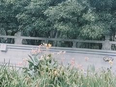 -拙政园