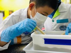 -神奇科学家STEAM科学实验科创赛事机器人编程逻辑思维MadScience(长宁来福士校区)