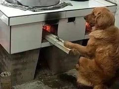 -巴厘龙虾·榜首油焖大虾(洞庭·艺术洋房店)