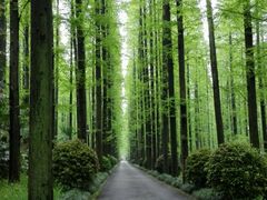 车道-上海怡沁园度假酒店