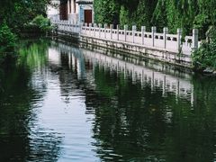 -趵突泉景区
