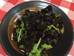 凉拌木耳-抚顺美食·老上海味道