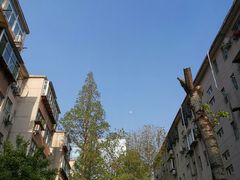 -山东大学(千佛山校区)