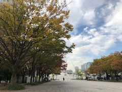 -台场海滨公园船码头