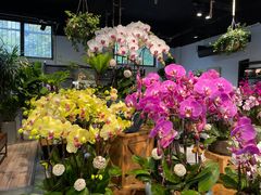 -青石桥花鸟鱼虫市场(叠翠城店)