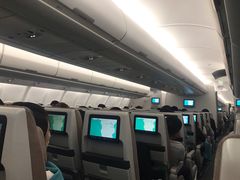 -西沃古尔·拉姆古兰爵士国际机场