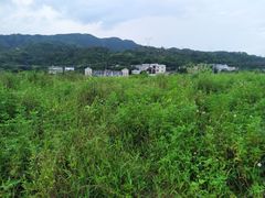 -叶挺将军纪念园