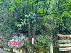-寂照庵