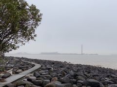 -上海吴淞炮台湾国家湿地公园