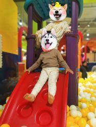 -宝燕乐园(闵行旗舰店)