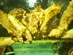 -明珠海港大酒店