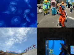 -福州罗源湾海洋世界旅游区