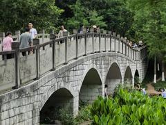-重庆彩云湖湿地公园
