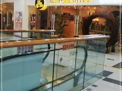 -猫域·湾主题猫咖·宠物吧(南坪城市广场店)