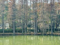 -麓舍全景太湖温泉别墅团建拓展会议亲子