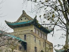 -武汉大学-樱园