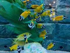 -新疆天山野生动物园