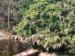 -鱼凫国都大酒店温泉