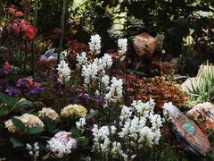 -杭州植物园
