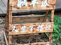 -天乐农家鱼头王(天目湖店)