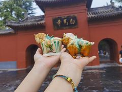 -洛阳白马寺