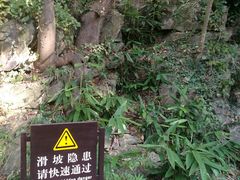 -镇江市南山风景名胜区竹林景区