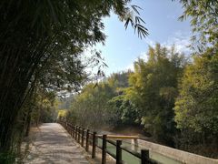 -广州市流溪河国家森林公园