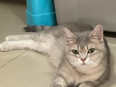 -皮特动物医院(24小时店)