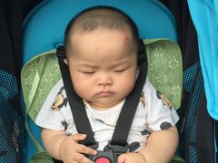 -拳霸泰拳MMA综合格斗搏击馆(浦东馆)