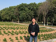 -松山湖梦幻百花洲