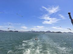-海驴岛(荣成市)
