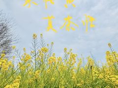 -国际非物质文化遗产博览园