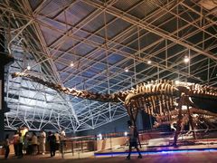 -世界恐龙谷景区