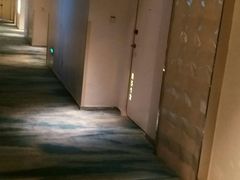 -深圳东部华侨城瀑布酒店