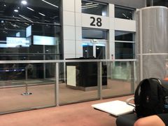 -西沃古尔·拉姆古兰爵士国际机场