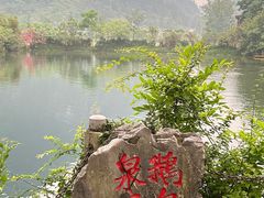 -靖西鹅泉风景区