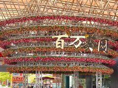 -百万葵园