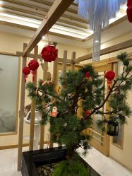 -芳朵美容养生SPA