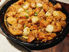 -船歌·鱼水饺青岛菜(金狮广场店)
