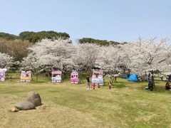 -苏州上方山国家森林公园