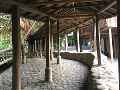 -天门沟九州驿站树上汤泉