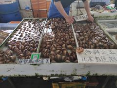 -南沙十九涌渔人码头-南门