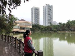 景点-金花茶公园