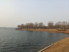 -丁香湖公园